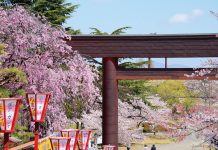 WAttention Tohoku 2018 Spring & Summer wattention tohoku 2018 spring summer