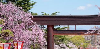 WAttention Tohoku 2018 Spring & Summer wattention tohoku 2018 spring summer