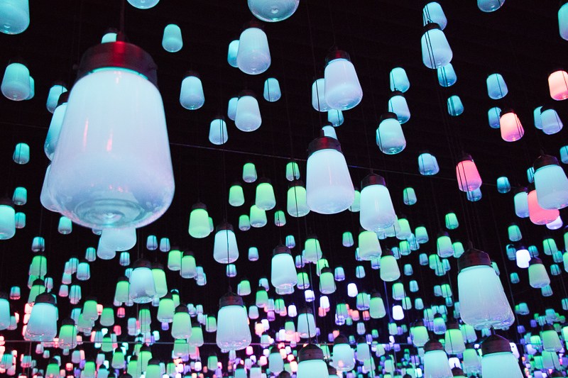 teamLab forest of lamps