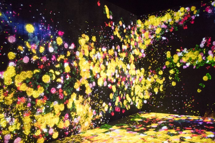 teamLab borderless flowers