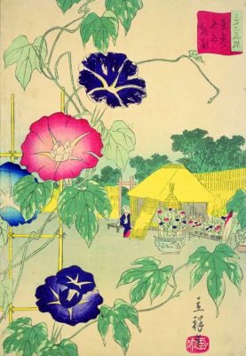 an old painting of Asagao-ichi (morning glory market)
