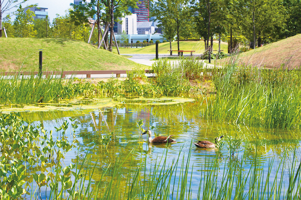 Shibaura Chuo Park