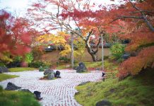 Spectacular Views of Matsushima Bay Entsuin temple