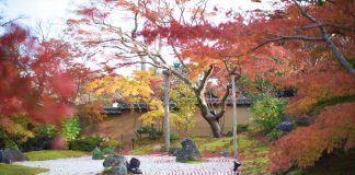 Spectacular Views of Matsushima Bay Entsuin temple