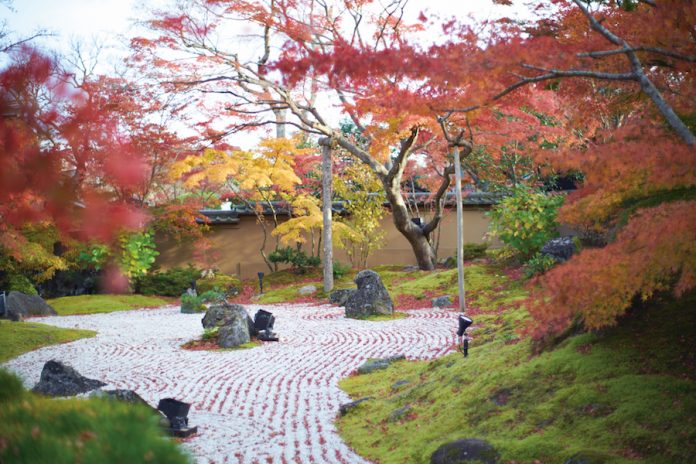 Spectacular Views of Matsushima Bay - WAttention.com