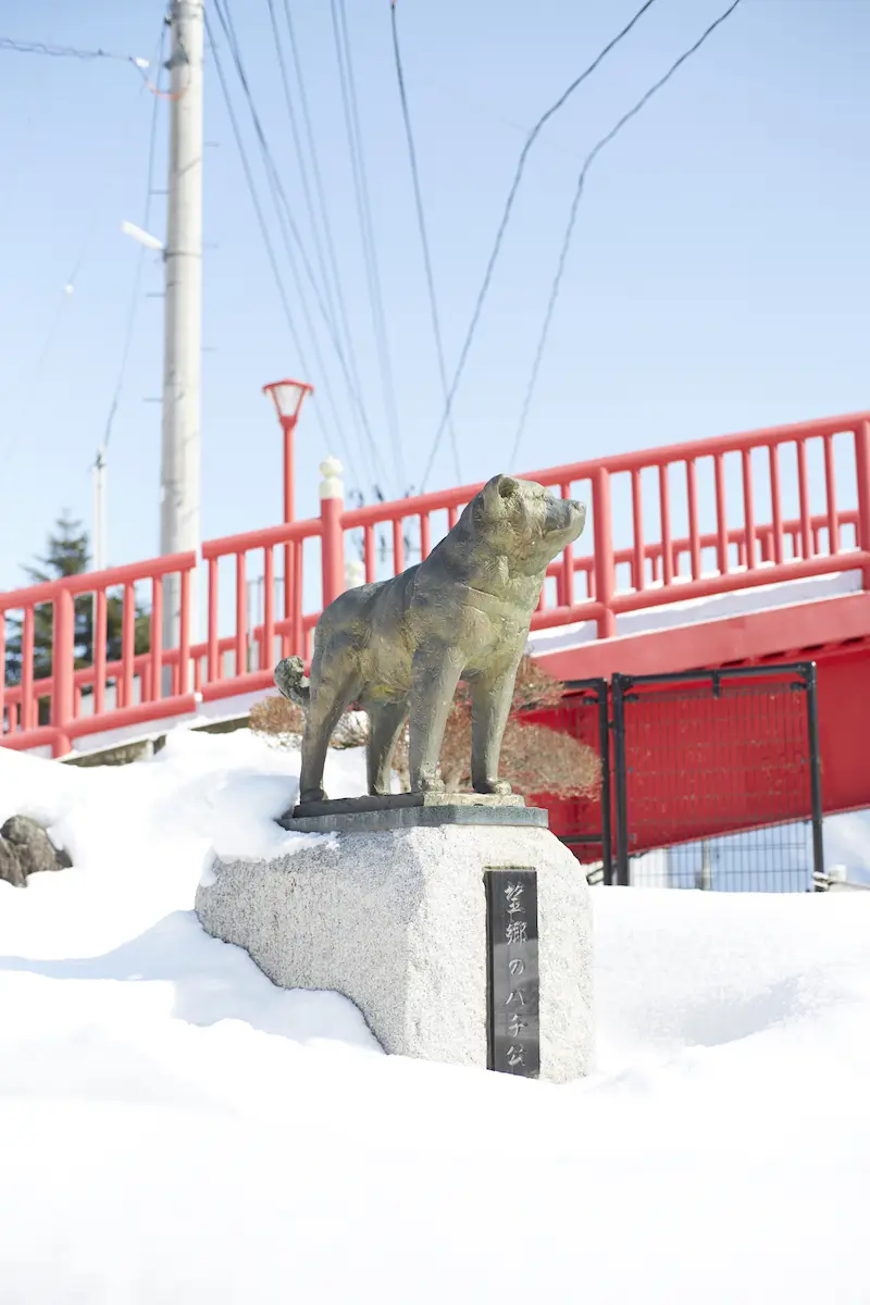 In front of Akita Dog Museum