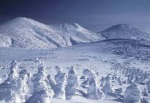 Three Famous Snow Monsters