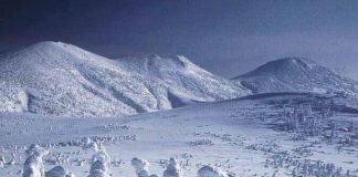 Three Famous Snow Monsters