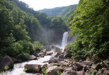 Discover Niigata from Tokyo. Let’s Go!【Nature】 Naena Waterfall