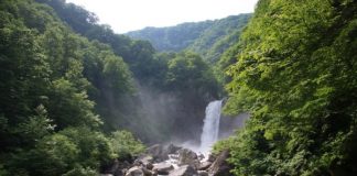 Discover Niigata from Tokyo. Let’s Go!【Nature】 Naena Waterfall
