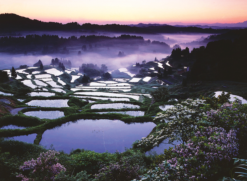 Hoshitoge Rice Terraces