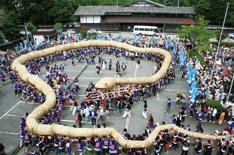 niigata straw snake