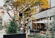 NOHGA HOTEL: Elegance in the Heart of Ueno, Tokyo nohga hotel