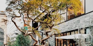 NOHGA HOTEL: Elegance in the Heart of Ueno, Tokyo nohga hotel