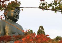 Nishitama, Okutama : A Trip Into Tokyo’s Untapped Forests Rokuya Great Buddha