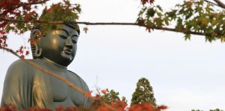 Nishitama, Okutama : A Trip Into Tokyo’s Untapped Forests Rokuya Great Buddha