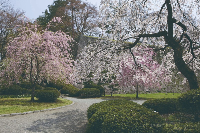 BUKEYASHIKI morioka