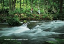 Aomori’s Oirase Mountain Stream