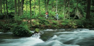 Aomori’s Oirase Mountain Stream
