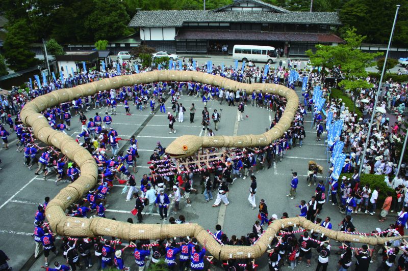 niigata snake festival