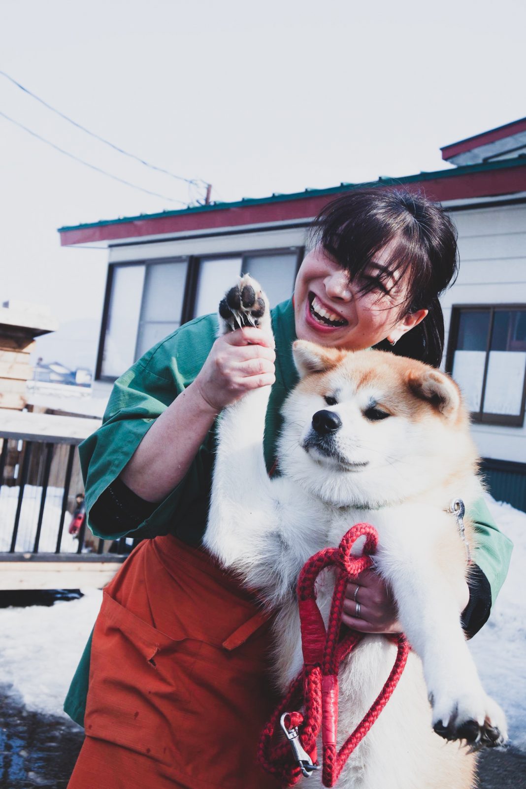 akita dog at furusawa onsen