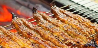 Unagi: Japanese Grilled Eel and the History of Kabayaki Unagi, eel