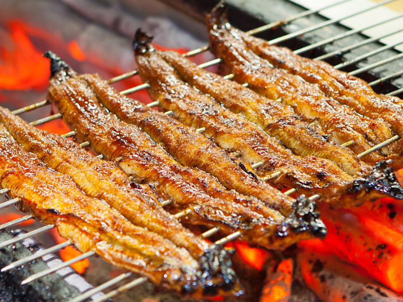Bbq Eel Unagi Kabayaki Shop Online Www oceanproperty co th