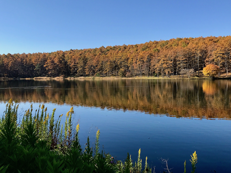 Daizahoshi Pond