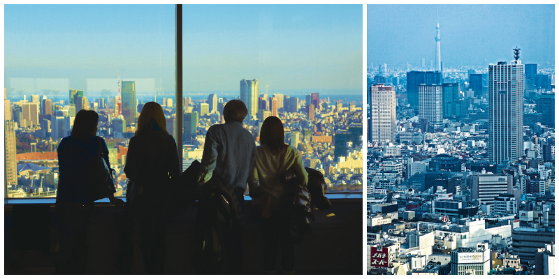 Tokyo Metropolitan Government Building Observatories