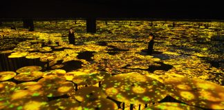 Transcendence in Tokyo: Art, Reality and teamLab Memory of Topography © teamLab