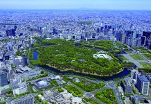 From Edo Castle to the Imperial Palace – History in the Heart of Tokyo