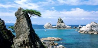 Explore the Unique Variety of Niigata: The Sea of Japan, Savory Food Culture and Nature