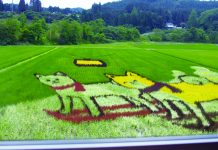 Homeland of the Akita Dog:Spectacular Scenery to Ensnare Your Senses akita