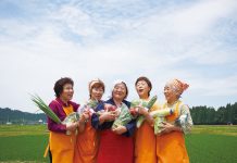 Homeland of the Akita Dog:Joyous and Unforgettable Travel Experiences akita