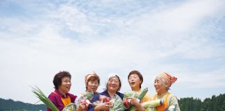 Homeland of the Akita Dog:Joyous and Unforgettable Travel Experiences akita