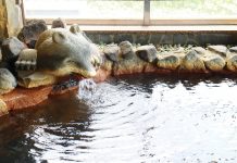 Homeland of the Akita Dog:Relax Your Mind & Body Homeland of the Akita Dog