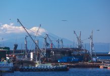 Misaki Port & Jogashima: Home to Beautiful Nature, Sparkling Seas, and Delicious Maguro (Tuna)