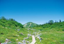 Go on a  nature adventure in Niigata