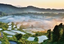 Travel through the nostalgic ambience Tokamachi