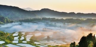 Travel through the nostalgic ambience Tokamachi