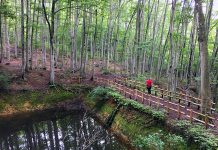 How to Enjoy a Weekend in Japan. Tokamachi, Niigata.