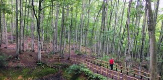 How to Enjoy a Weekend in Japan. Tokamachi, Niigata.