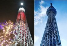 Excitement in the Air: One Day Trip to Tokyo SKYTREE