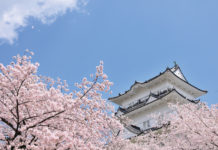 Just 35-minute away from Tokyo Station: ODAWARA ODAWARA