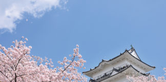 Just 35-minute away from Tokyo Station: ODAWARA ODAWARA