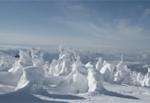 Japanese Snow Resort ZAO: Enter the world of Snow Monsters