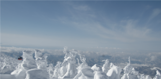 Japanese Snow Resort ZAO: Enter the world of Snow Monsters