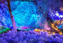 Saitama: Refresh yourself on a day trip from Tokyo