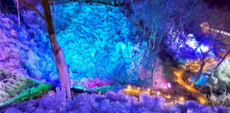 Saitama: Refresh yourself on a day trip from Tokyo