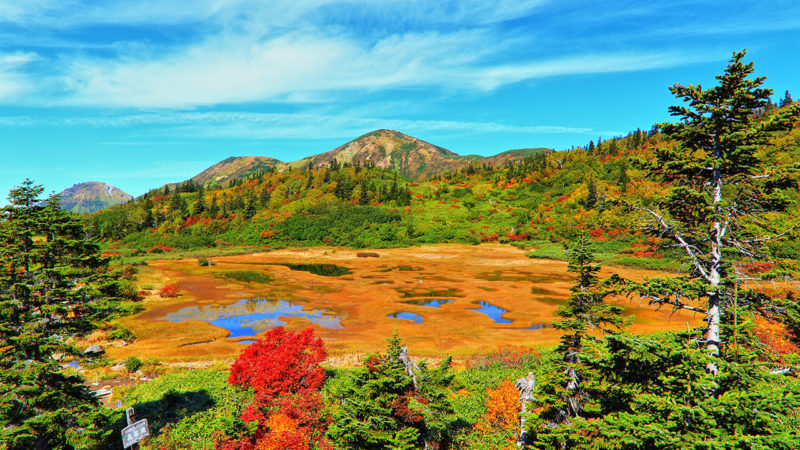 Mokyo Kogen hignland